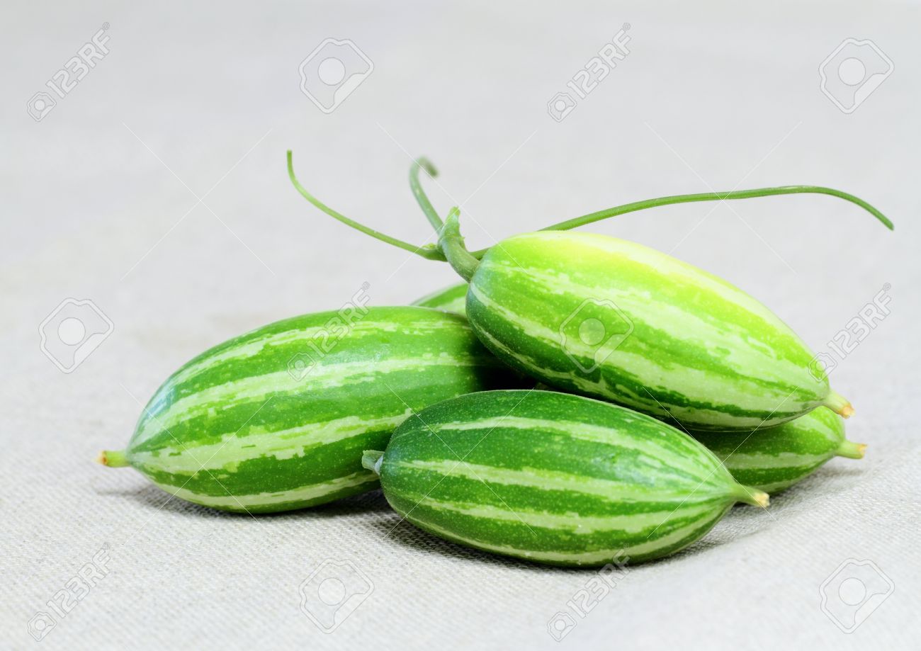 Snake Gourd (Dhunduli)