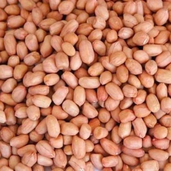 Raw Peanuts (Groundnuts , Kacchi Moongfali , Pacha Nilakkadala ) – image 1