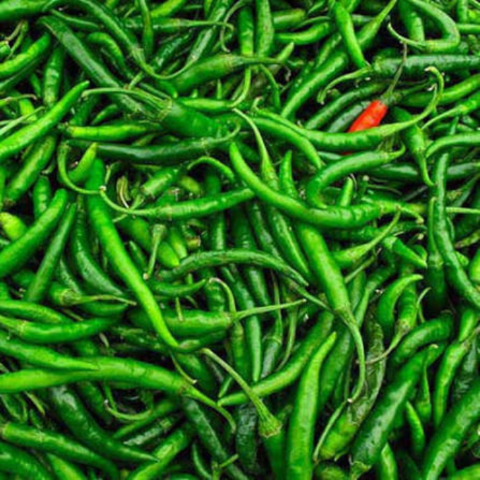 GREEN CHILLI