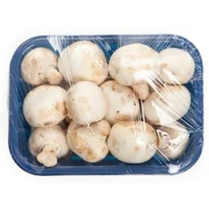 Mushroom  – image 2
