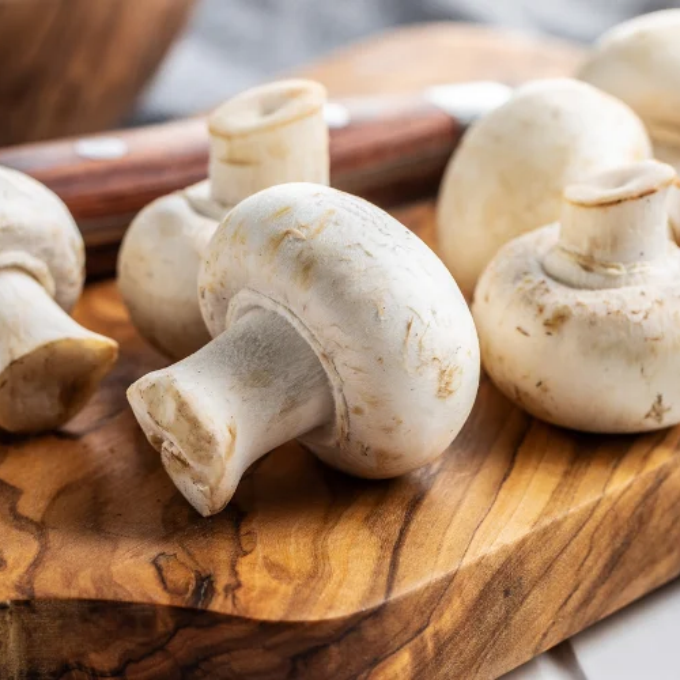 Mushroom  – image 3