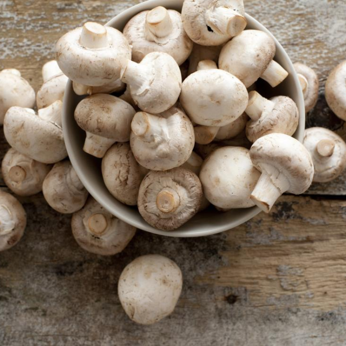 Mushroom  – image 4