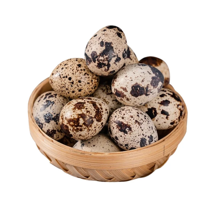 Quail Eggs / Kada Mutta – image 3