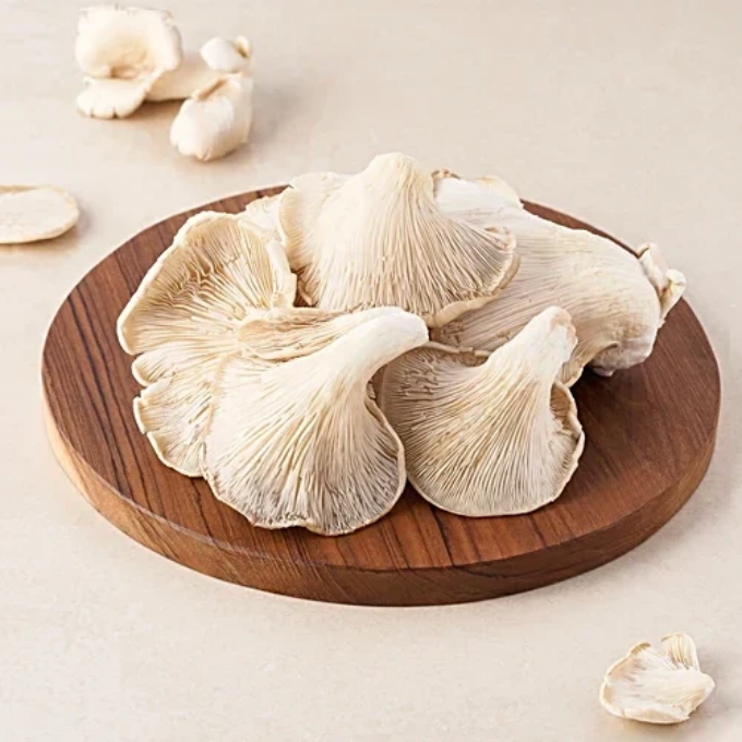 Oyster Mushroom – image 2