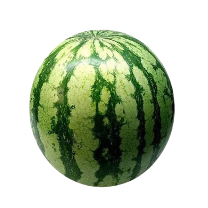 Watermelon (Tarbooz / Thannimathan)