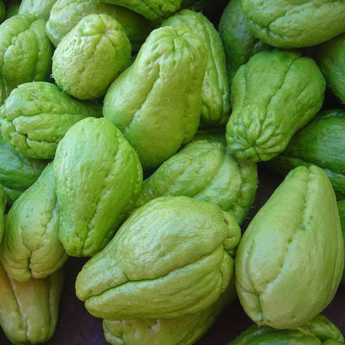 chow chow  (Chochakka)