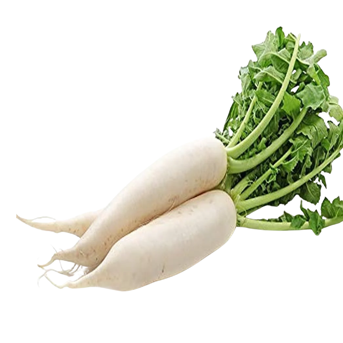 Raddish/Mullanki/Mooli/