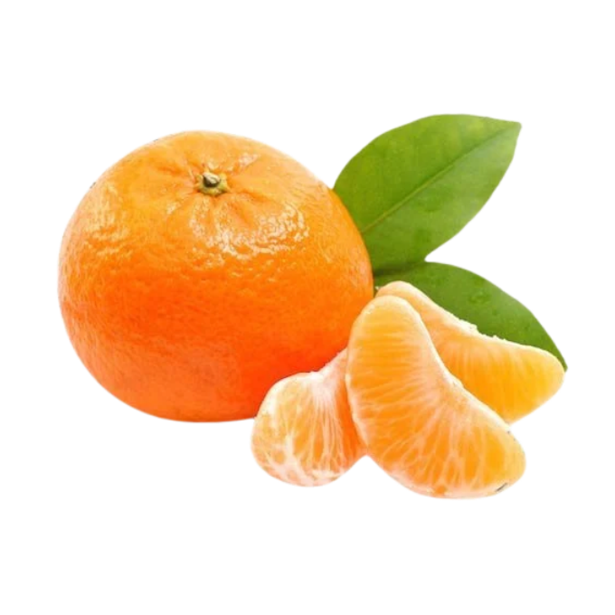 Fresh Orange 
